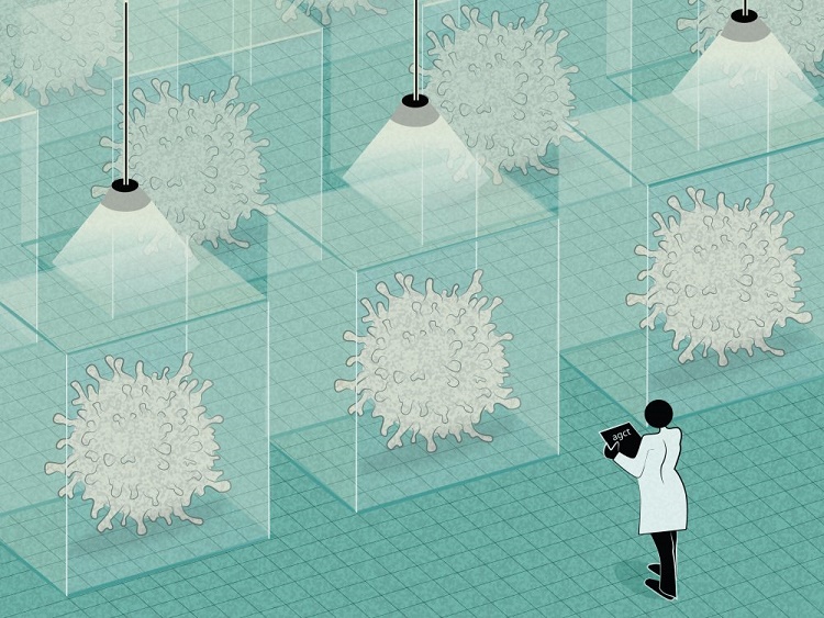 Novel insights into genetic cause of autoimmune diseases