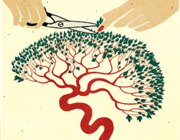 Master switch for brain development