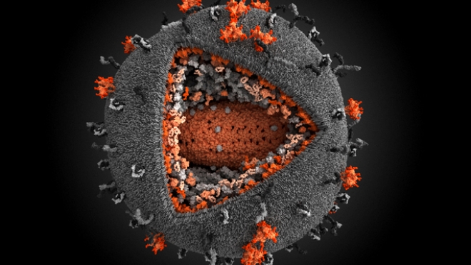 Closing the loop on an HIV escape mechanism