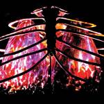 U of T research sheds new light on mysterious fungus that has major health consequences