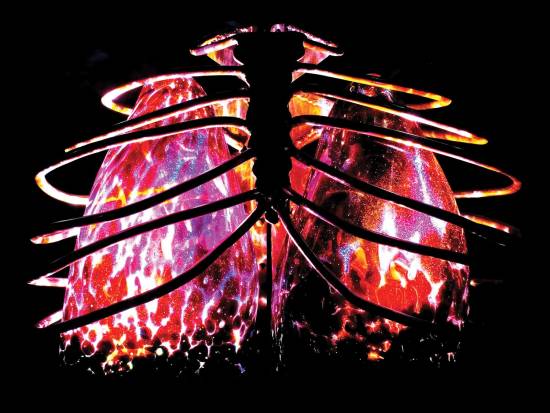 U of T research sheds new light on mysterious fungus that has major health consequences