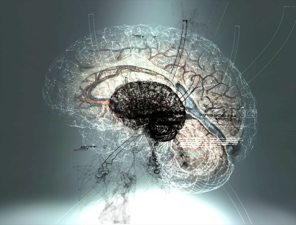 Synapse discovery could lead to new treatments for Alzheimer's disease