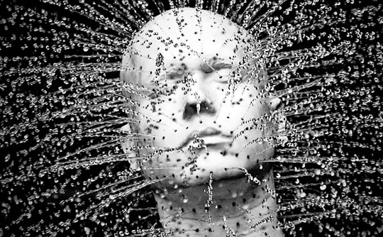 Lipid helps keep algae and brain fluid moving