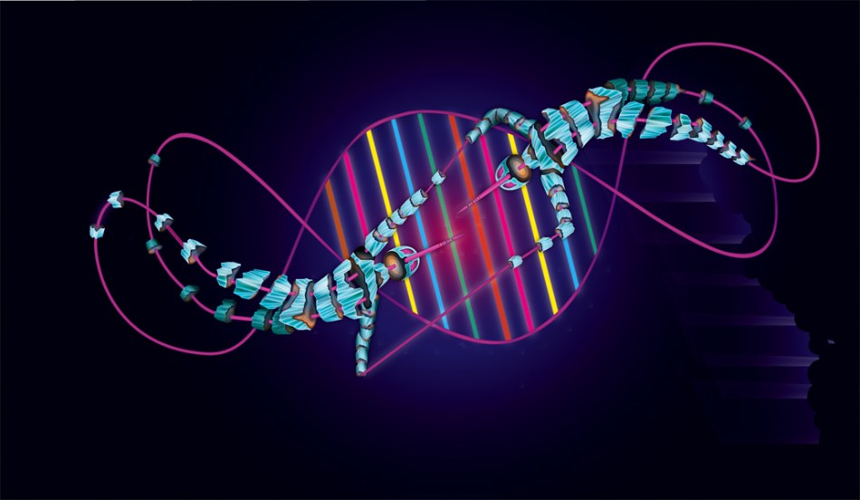A protein-RNA structure hints at how viruses commandeer human proteins