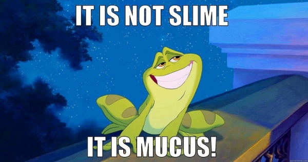 Mucus -- the first line of defense