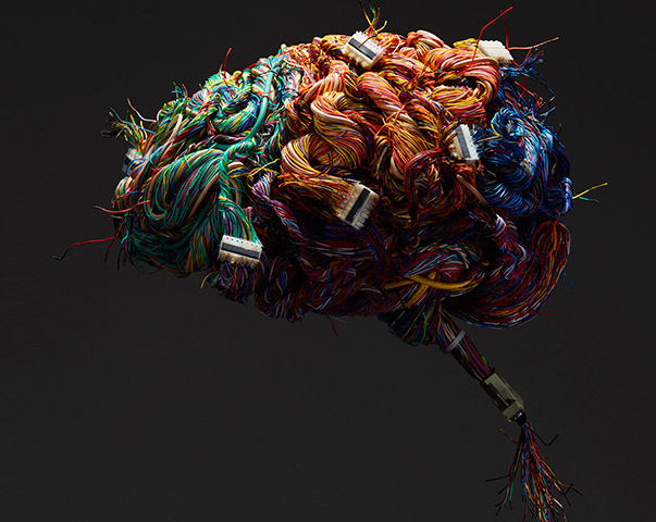 Certain herpes viruses can infect human neurons