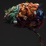 Certain herpes viruses can infect human neurons