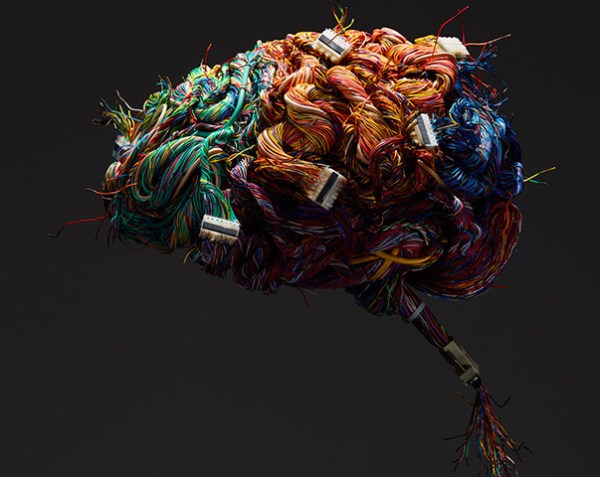 Certain herpes viruses can infect human neurons