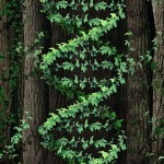 High-throughput evaluation of synthetic metabolic pathways