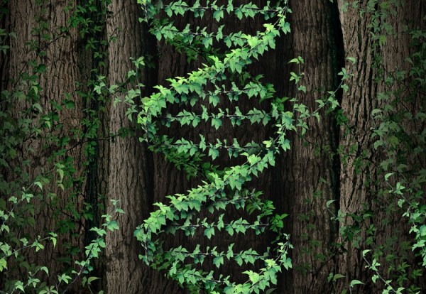 High-throughput evaluation of synthetic metabolic pathways