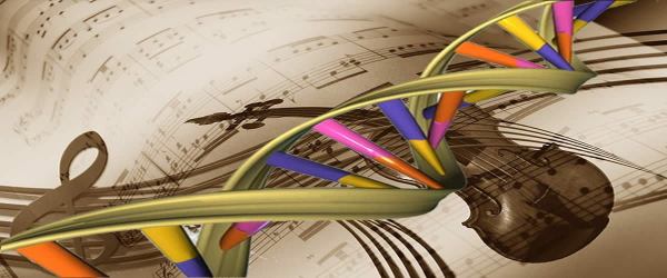 Study links epigenetic processes to the development of the cerebellar circuitry