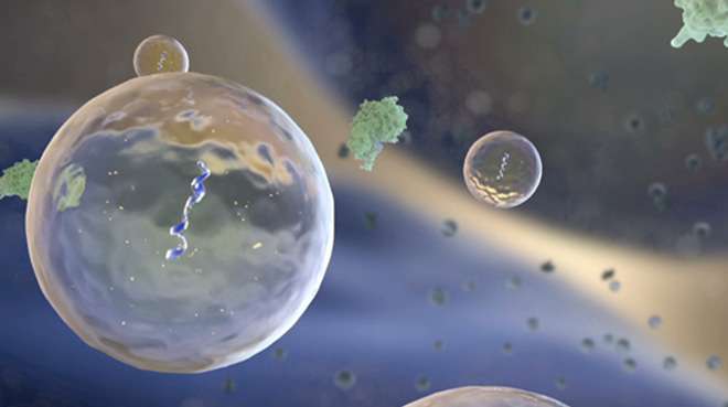 Healthy or sick? Tiny cell bubbles may hold the answer