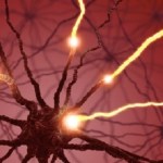 Discovery puts designer dopamine neurons within reach Parkinson's disease researchers discover a way to reprogram the genome