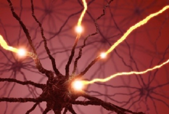 Discovery puts designer dopamine neurons within reach Parkinson's disease researchers discover a way to reprogram the genome