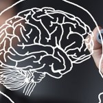 Scientists manipulate consciousness in rats