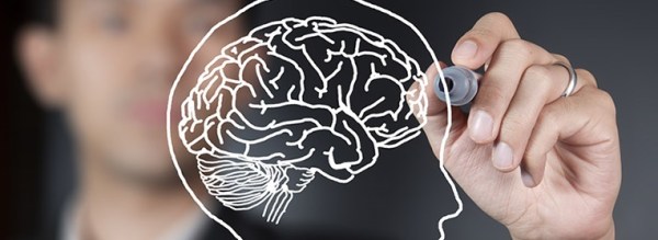 Scientists manipulate consciousness in rats