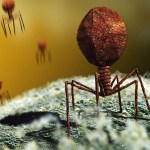 The world's smallest terrorist: Virus hijacks protein machine and then kills the host