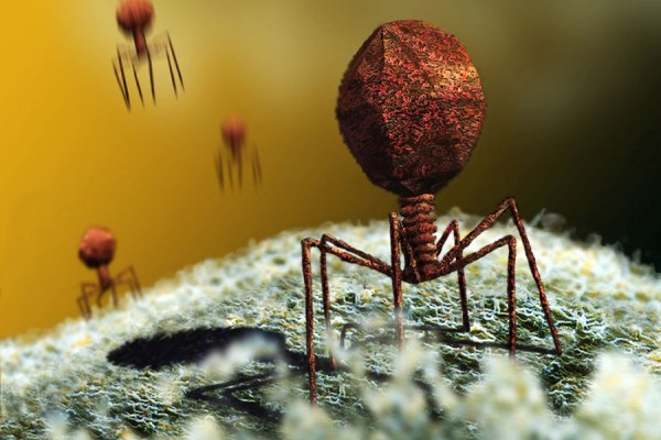 The world's smallest terrorist: Virus hijacks protein machine and then kills the host