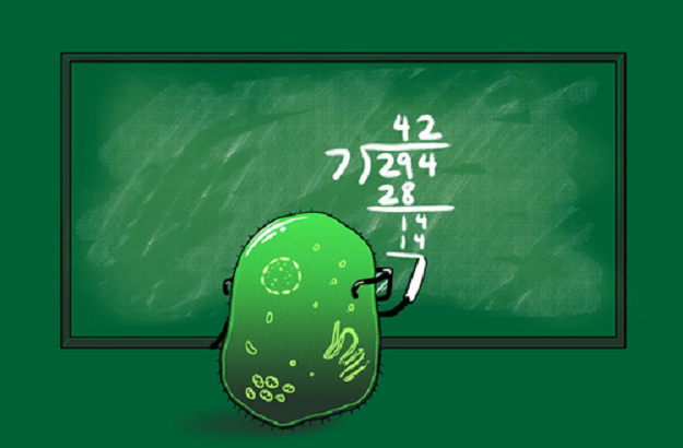 Evolution of an ancient protein function involved in organized multicellularity in animals - See more at: http://elifesciences.org/content/5/e10147#sthash.yue93BBd.dpuf