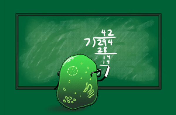 Evolution of an ancient protein function involved in organized multicellularity in animals - See more at: http://elifesciences.org/content/5/e10147#sthash.yue93BBd.dpuf