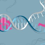 60 genetic disorders affect skin and nervous system