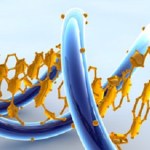 New genes born by accident lead to evolutionary innovation