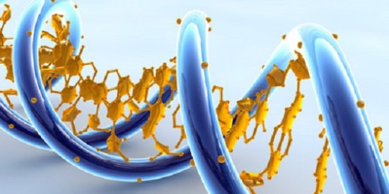 New genes born by accident lead to evolutionary innovation