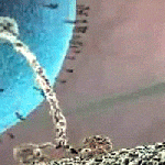 Thwarting abnormal neural development with a new mutation