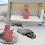bioengineering with a 3d printer
