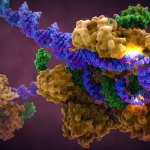 crispr cas9 art