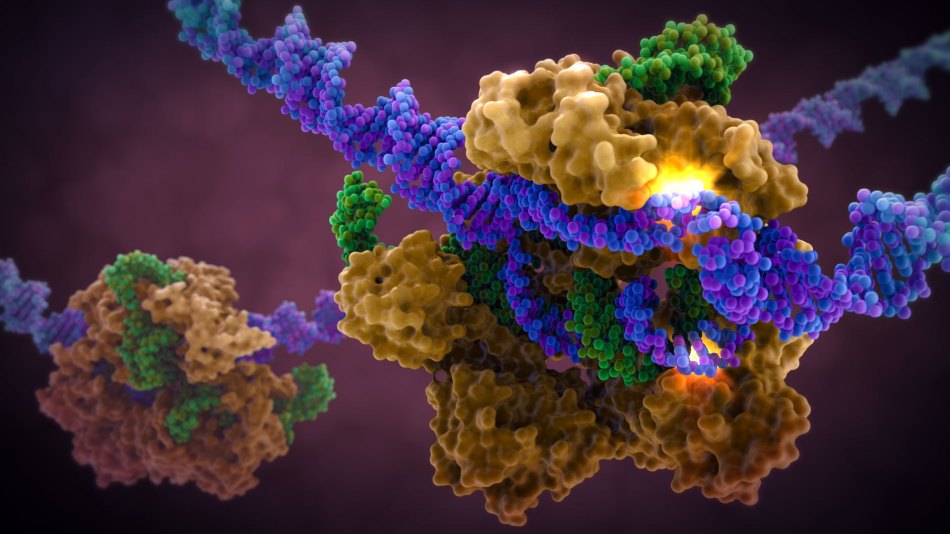 crispr cas9 art