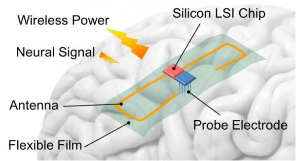 Wirelessly supplying power to brain