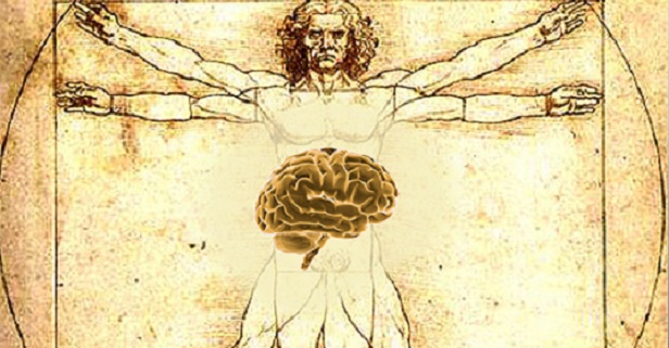 Brain stomach connection