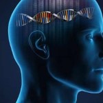 Genetics of alzheimer's