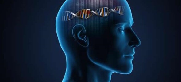 Genetics of alzheimer's