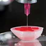 3d bioprinting