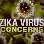 zika virus