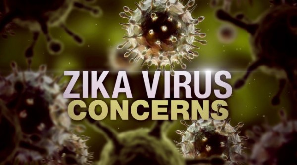 zika virus