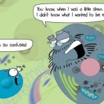 funny stem cell comic