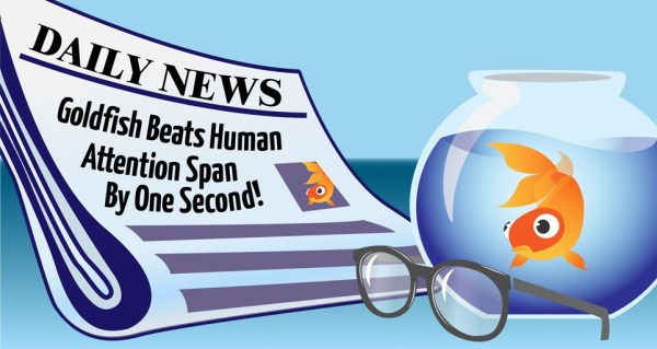 attention span of human