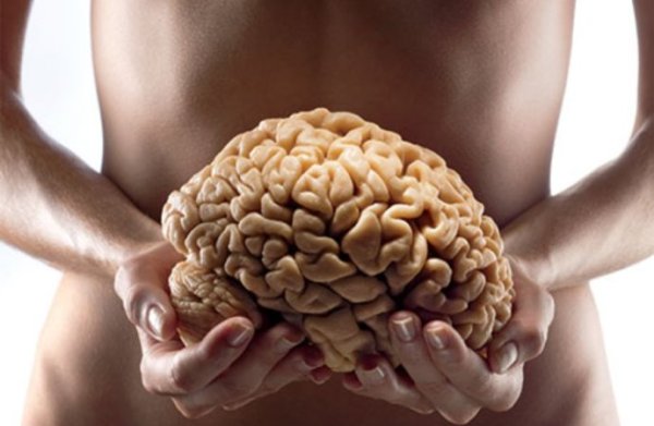 gut brain connection