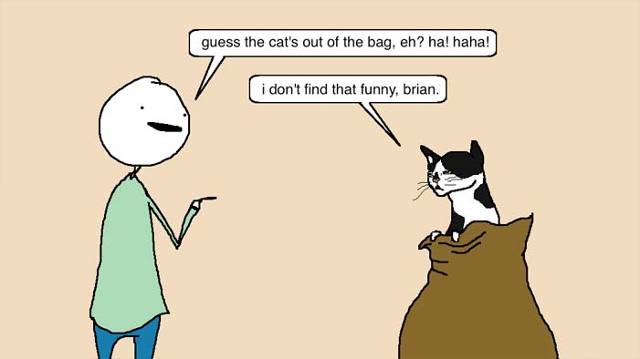 catinthebag