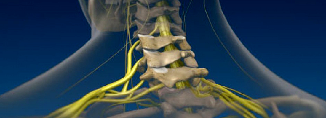 cervical spine