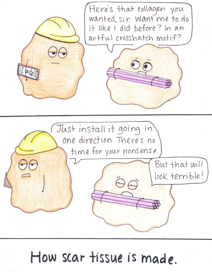 Scar tissue comic