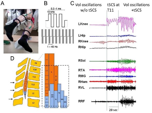 Figure 2 from and yet it moves