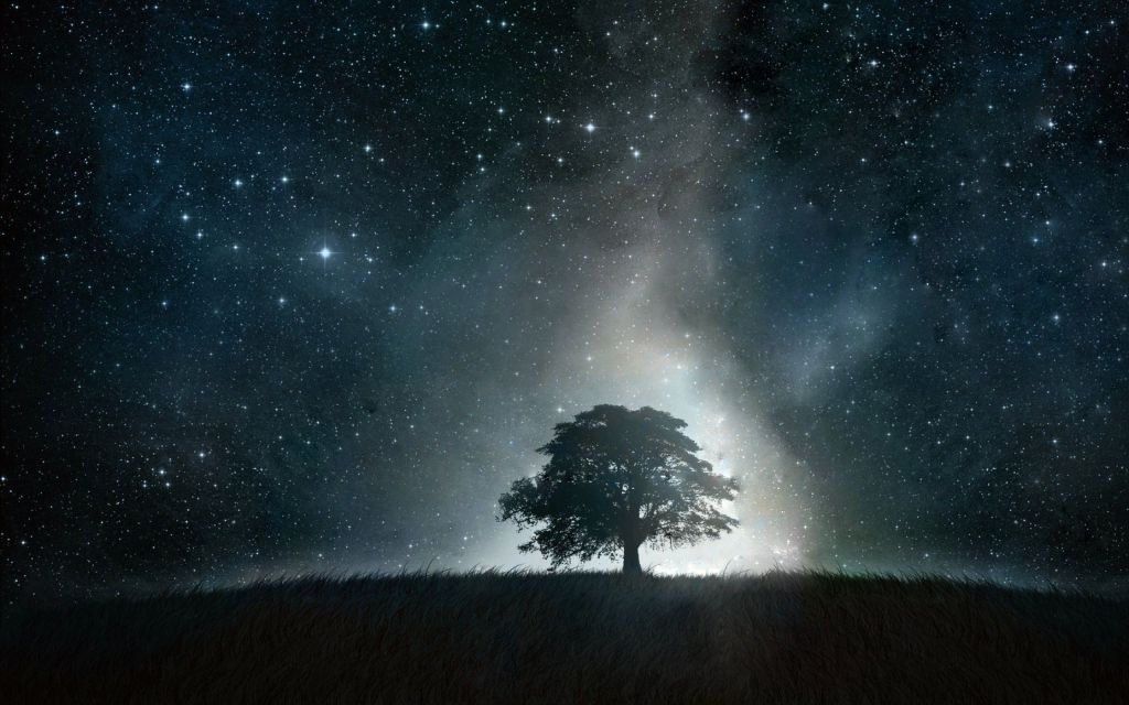 Tree seen at night, in the dark, with lots of stars in the background and light around the tree.